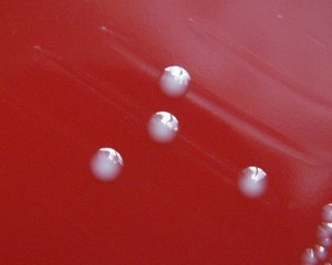what hemolysis has e.faecalis